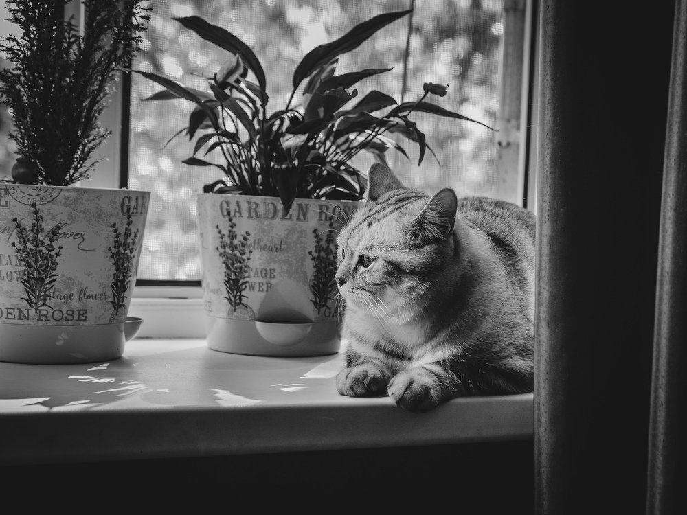 Photograph by Evgeny Pyatkov