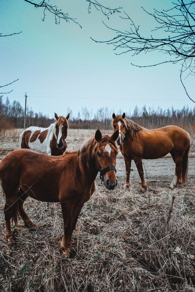 Photograph by Сергей Доржиев