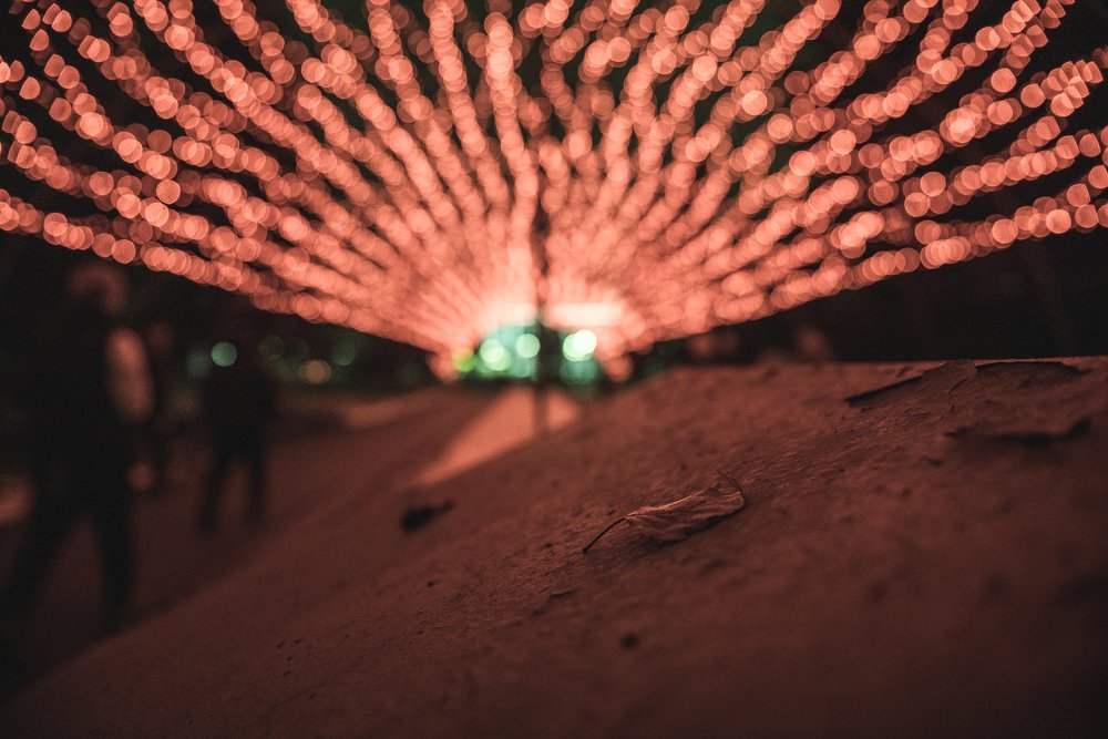 Photograph by Артем Полинин