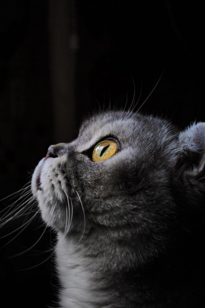 Photograph by Сергей Доржиев