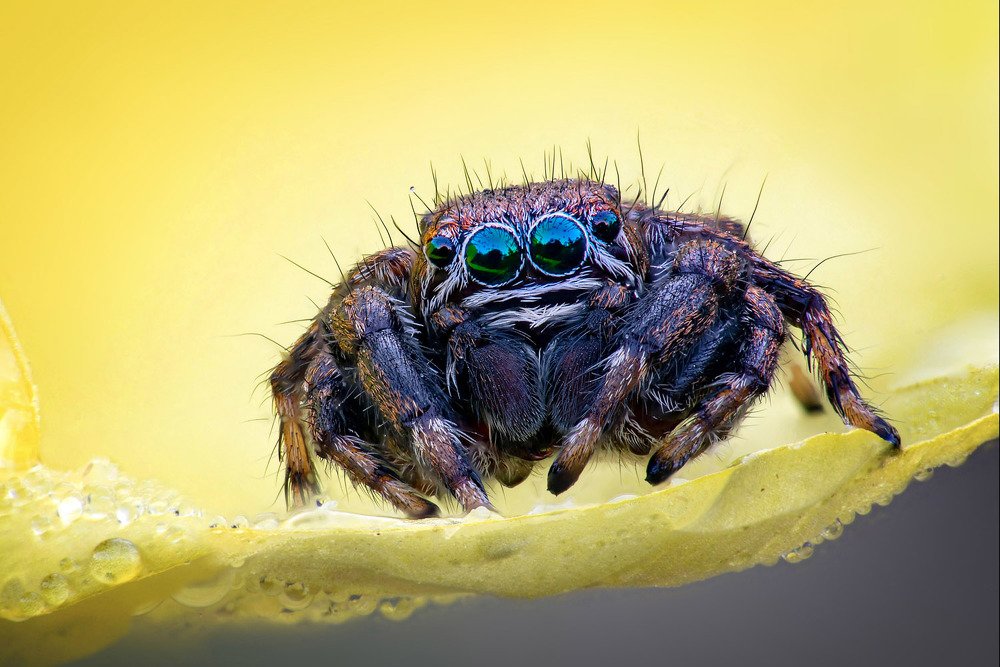 Photograph by Сергей Рубан