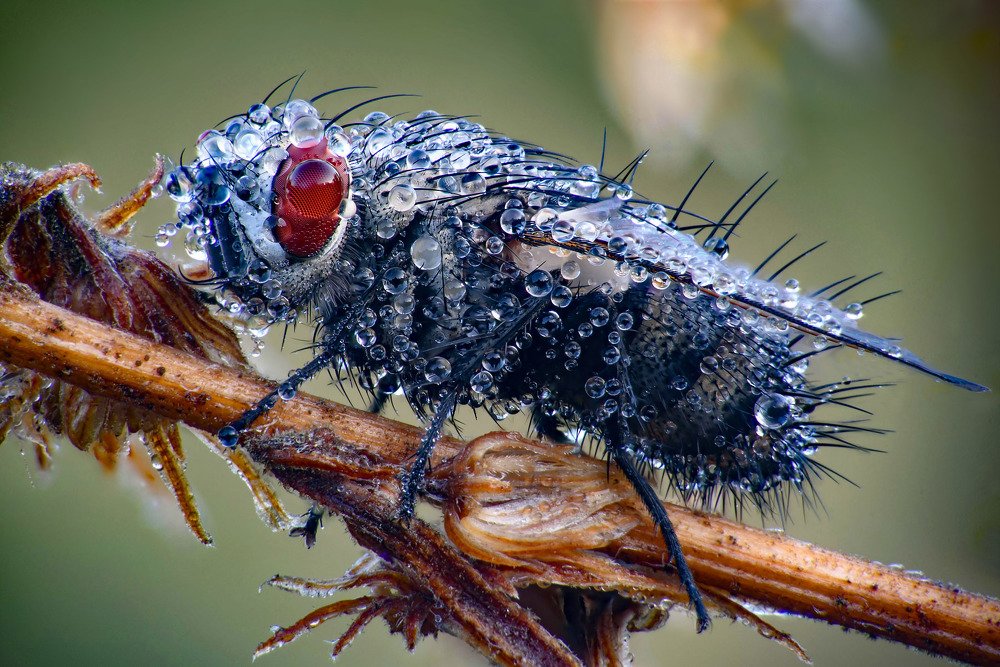 Photograph by Сергей Рубан