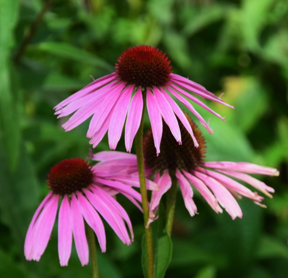 Photograph by Galina Leskova