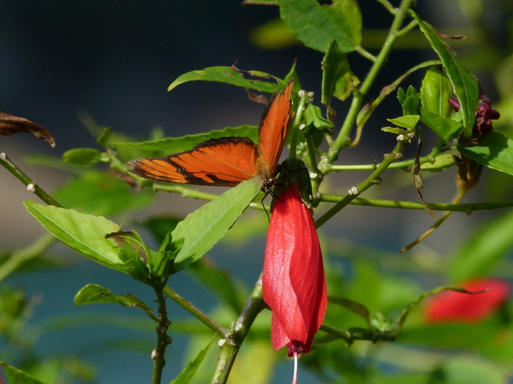 Photograph by Silvia Tereza Ferrante Marcos de Lima