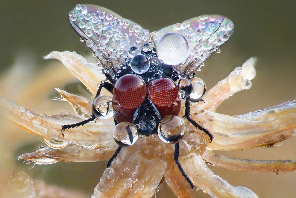 Photograph by Сергей Рубан