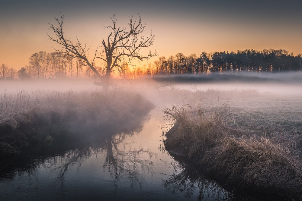 Фотография автора Michał Tomczak