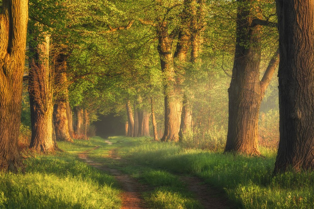 Фотография автора Michał Tomczak