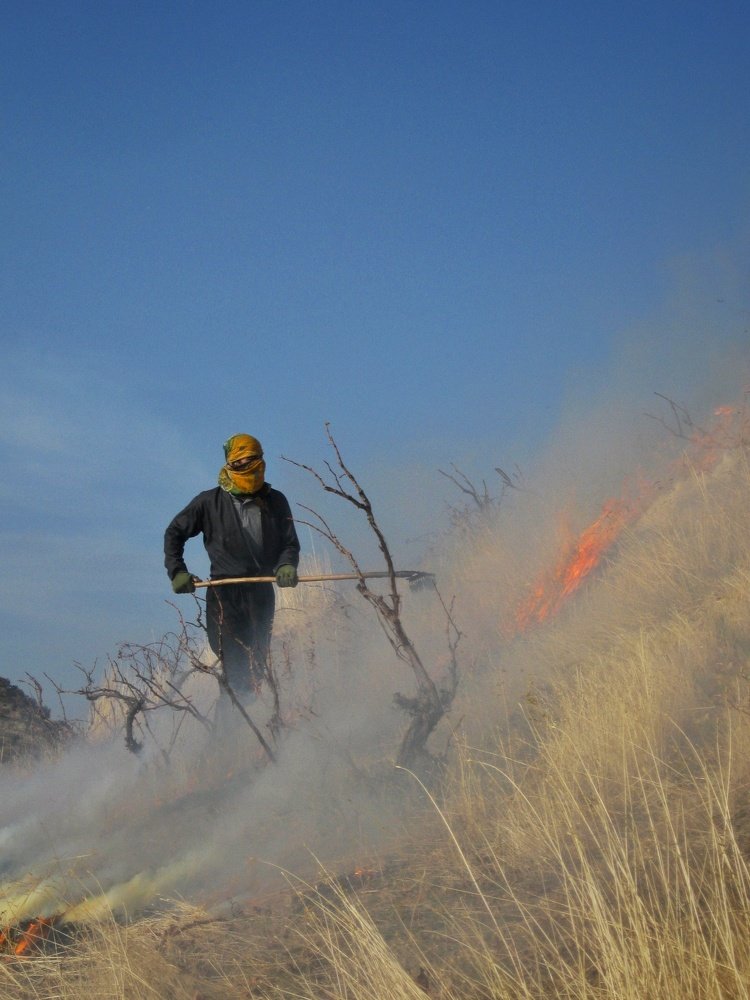 Photo #5306123