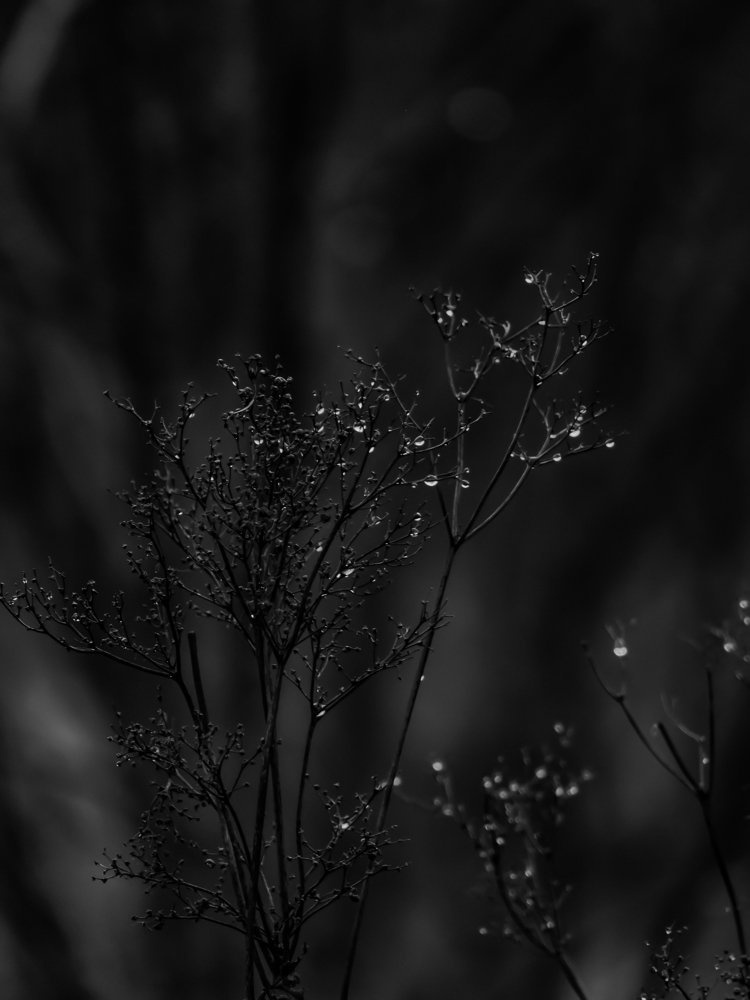 November