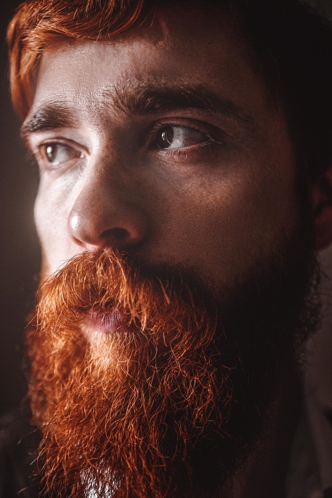 Photograph by Алина Груша