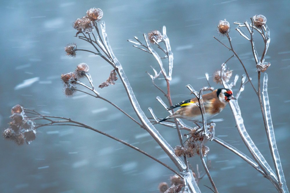 Photograph by Ксения Соварцева