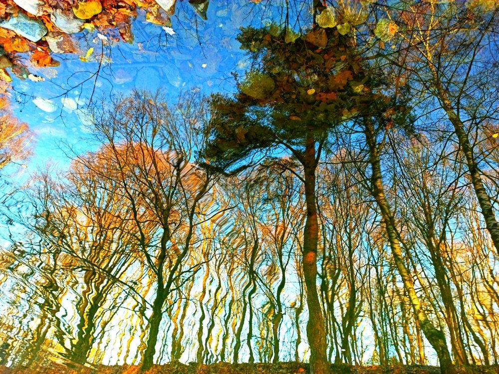 Картины осени на поверхности воды