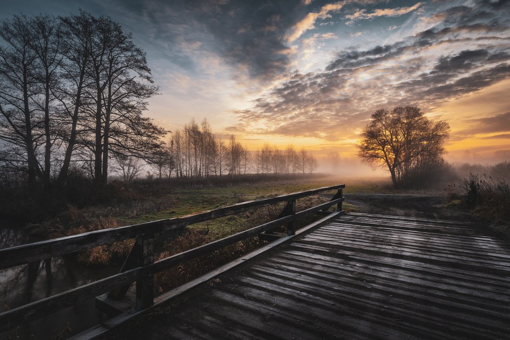 Фотография автора Michał Tomczak