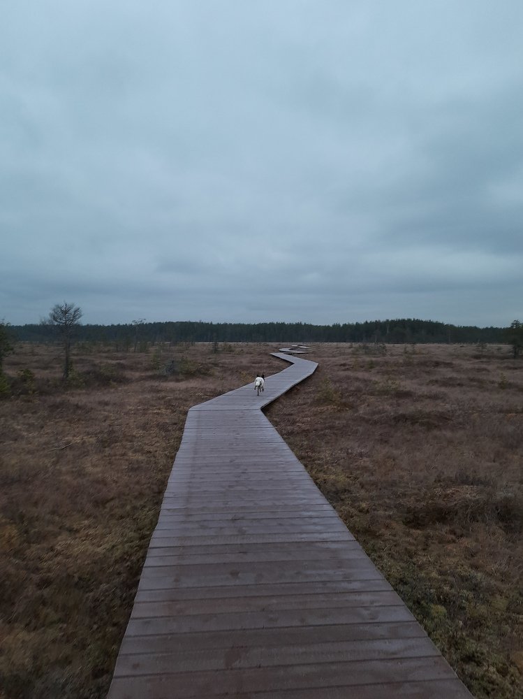 Photograph by Авсеенкова Наталья