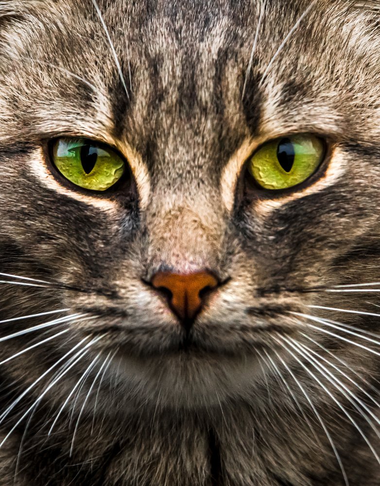 Photograph by Марина Сидоренко