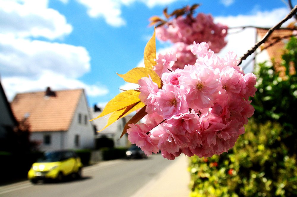 Photograph by Иван Мороз