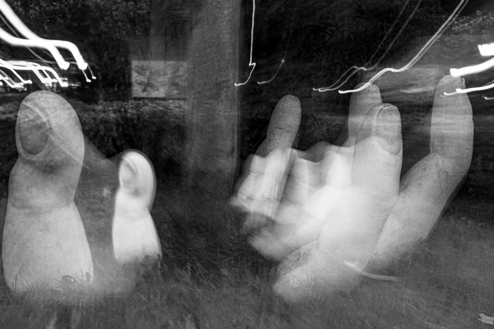 Photograph by Pouyan Mirzaei