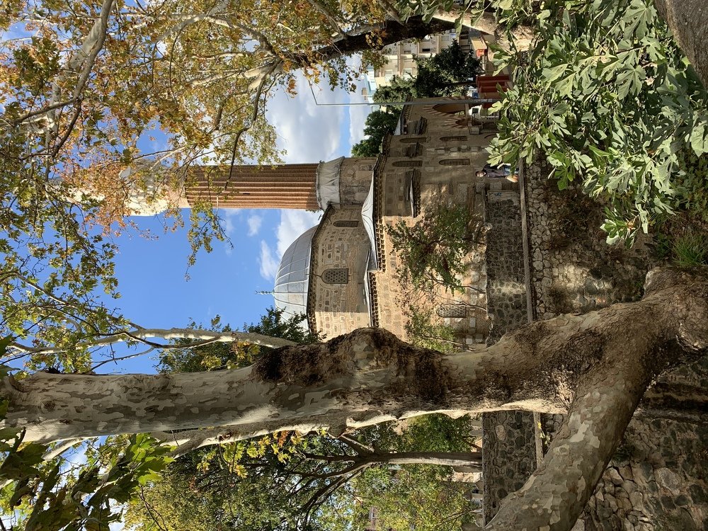 Photograph by Альбина Габидуллина