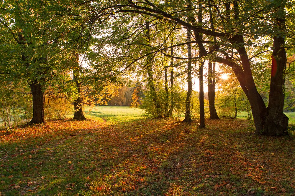 Photograph by Alexey Belov