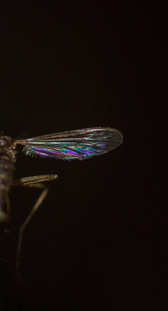 Photograph by Дарья Меркулова