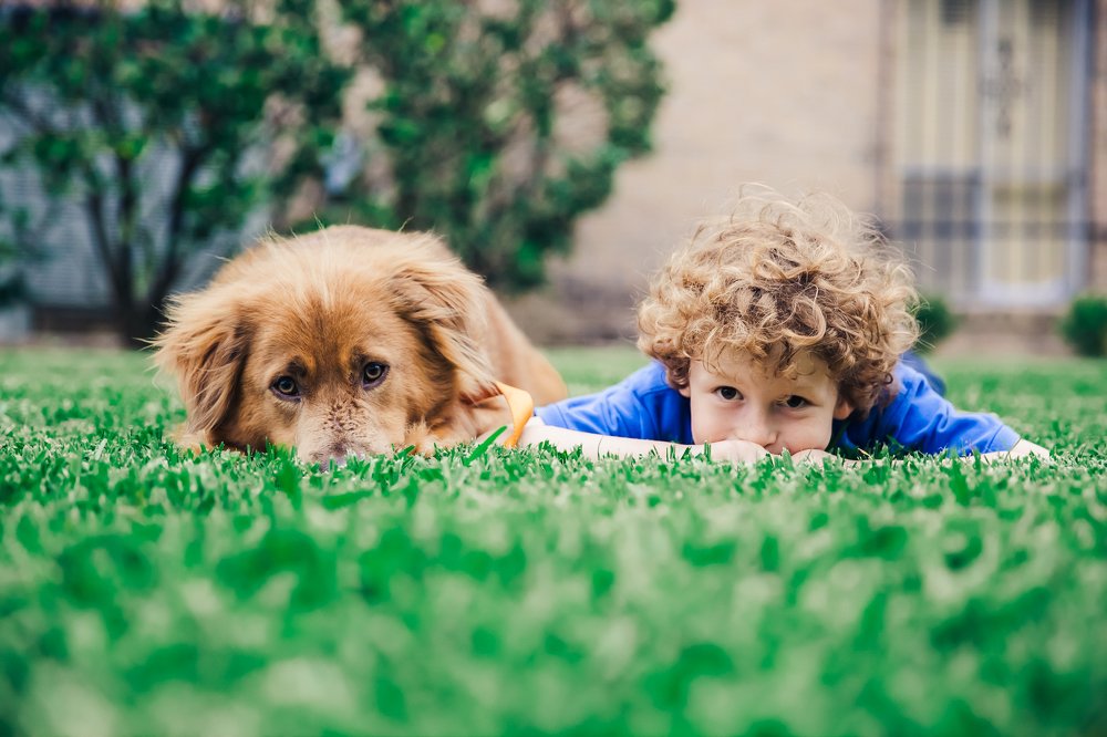 Photograph by Amalya Shandelman