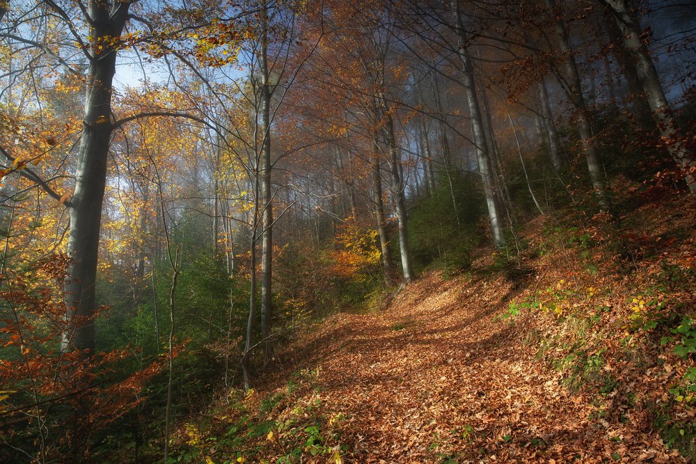 Photograph by Marcin Mirek