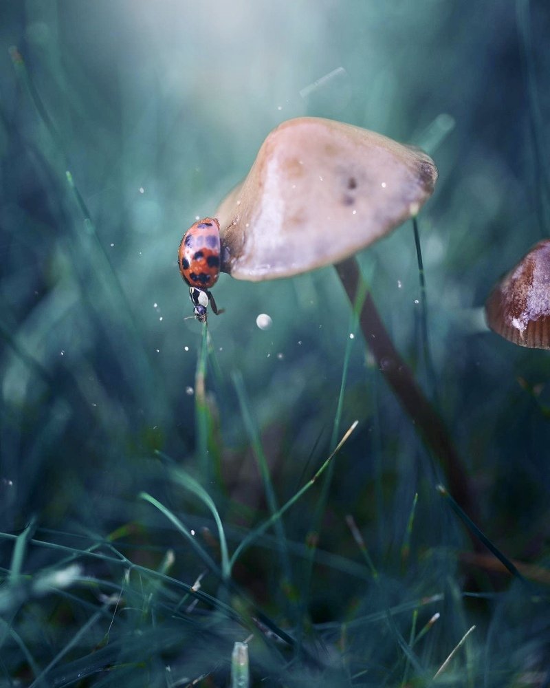 Photograph by Ксения Максименко