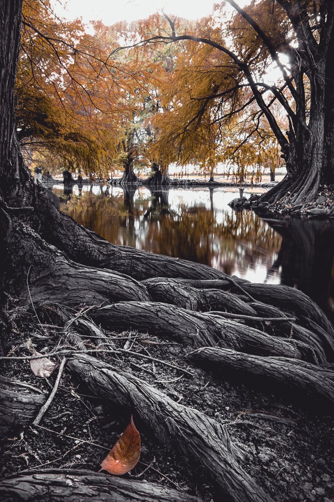 Photograph by Alma Delia Chávez Rojas