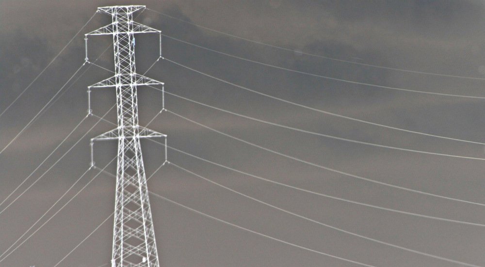 Photograph by Milena Ferreira