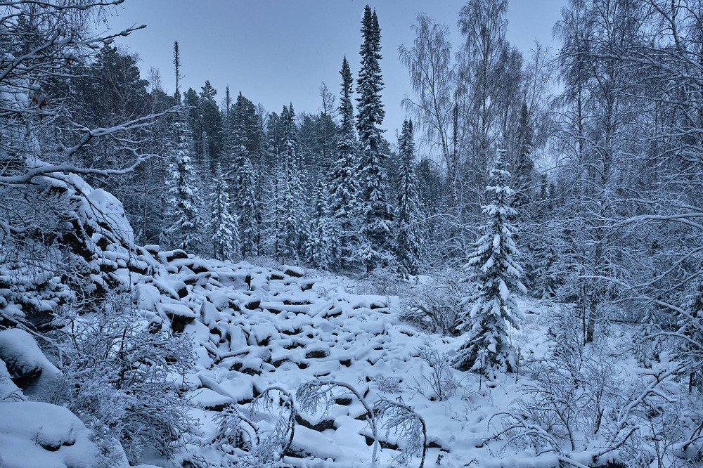 Photograph by Олег Печенегин