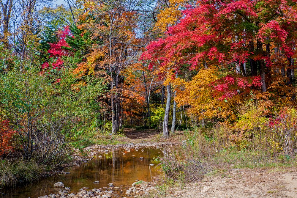 Photograph by Иван Радьков