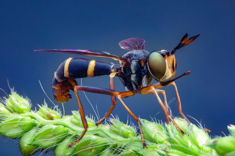 Photograph by Иван Радьков