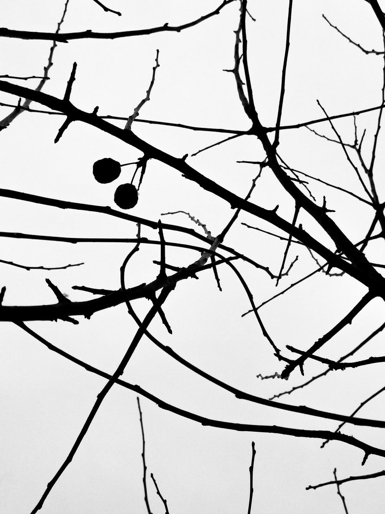 Photograph by Илья Гореньков