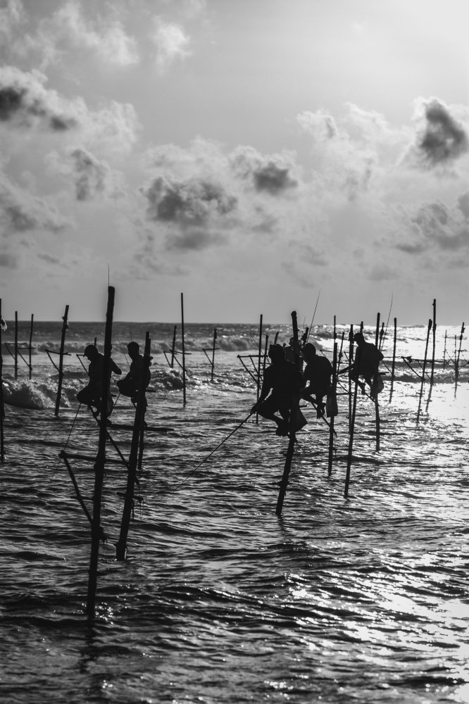 Photograph by Isuru Ramasinghe