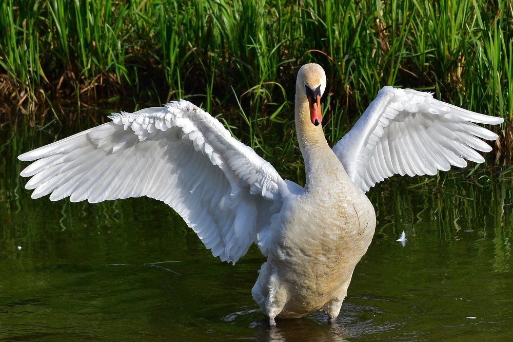 Фотография автора Антип