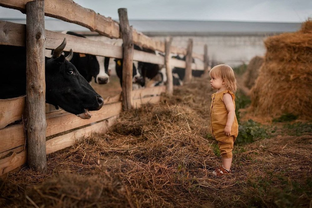 Photograph by Татьяна Козлова