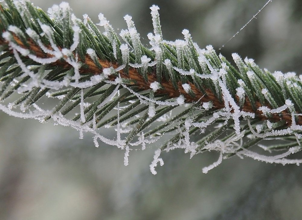 Photograph by Cornelia Ilie