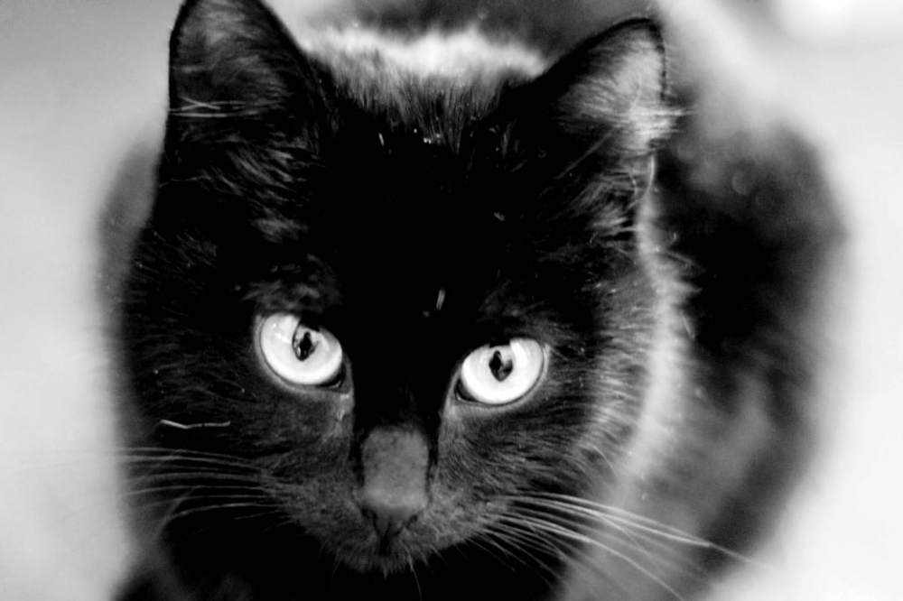 Photograph by Эльза Крюкова