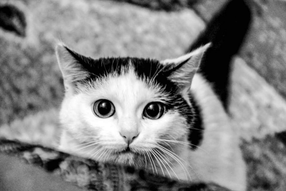 Photograph by Эльза Крюкова