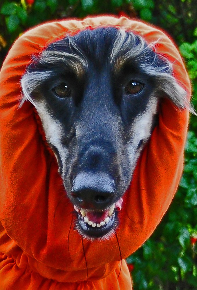 Фотография автора Антип