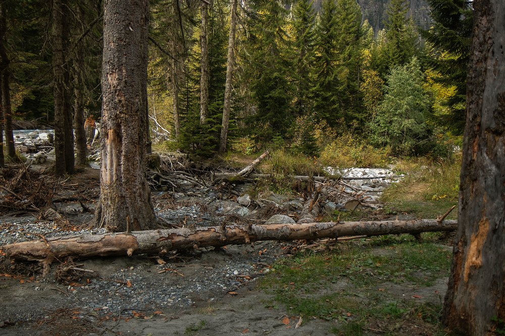 Photograph by Татьяна Бесчастнова