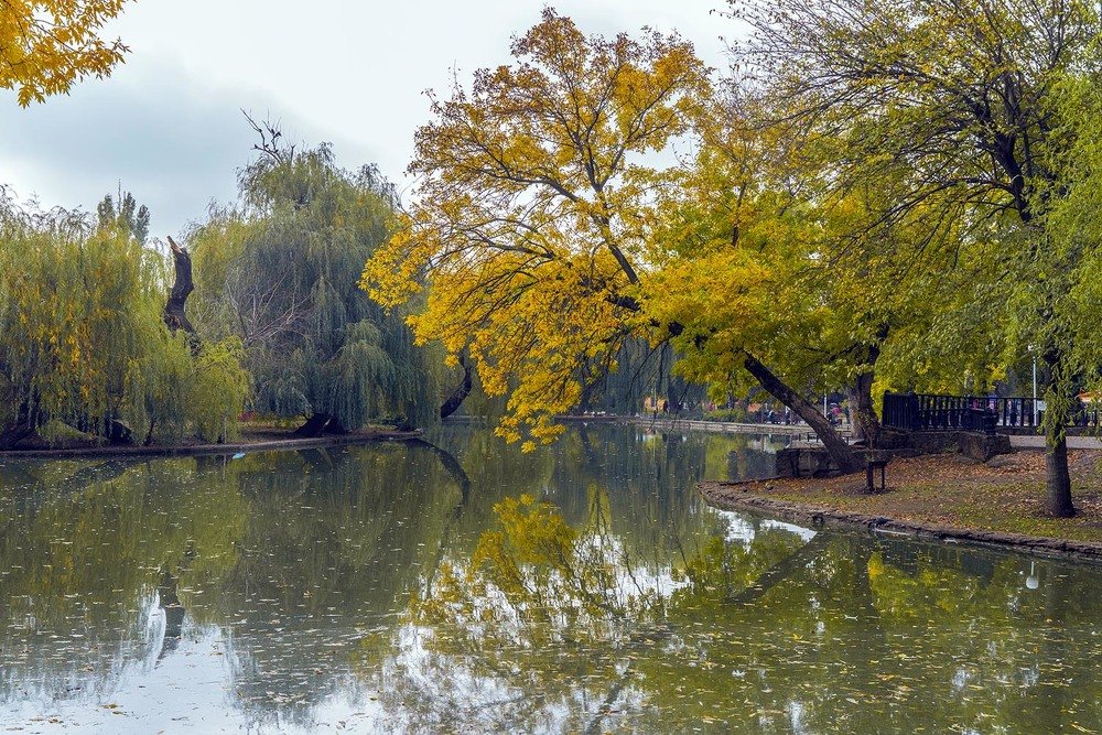 Photograph by Евгений Киселев