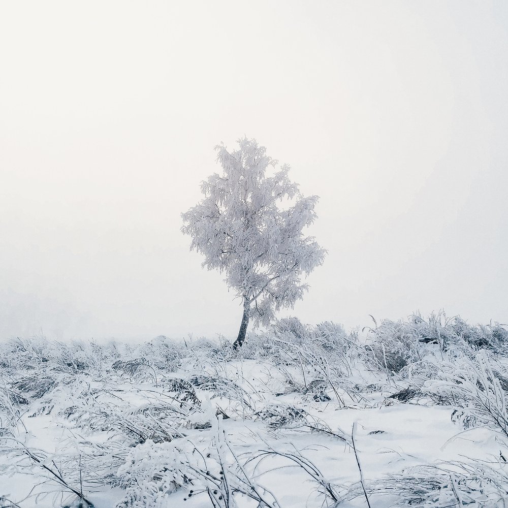 Photograph by Дмитрий Фёдоров