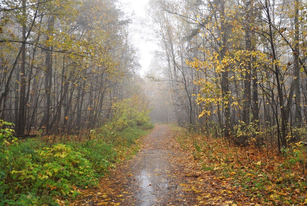 Photograph by Ольга Струкалина