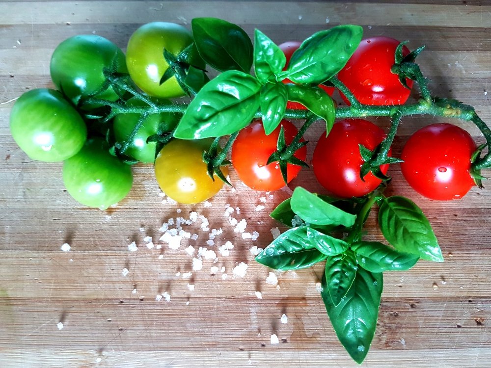 Photograph by Mojca Rebol