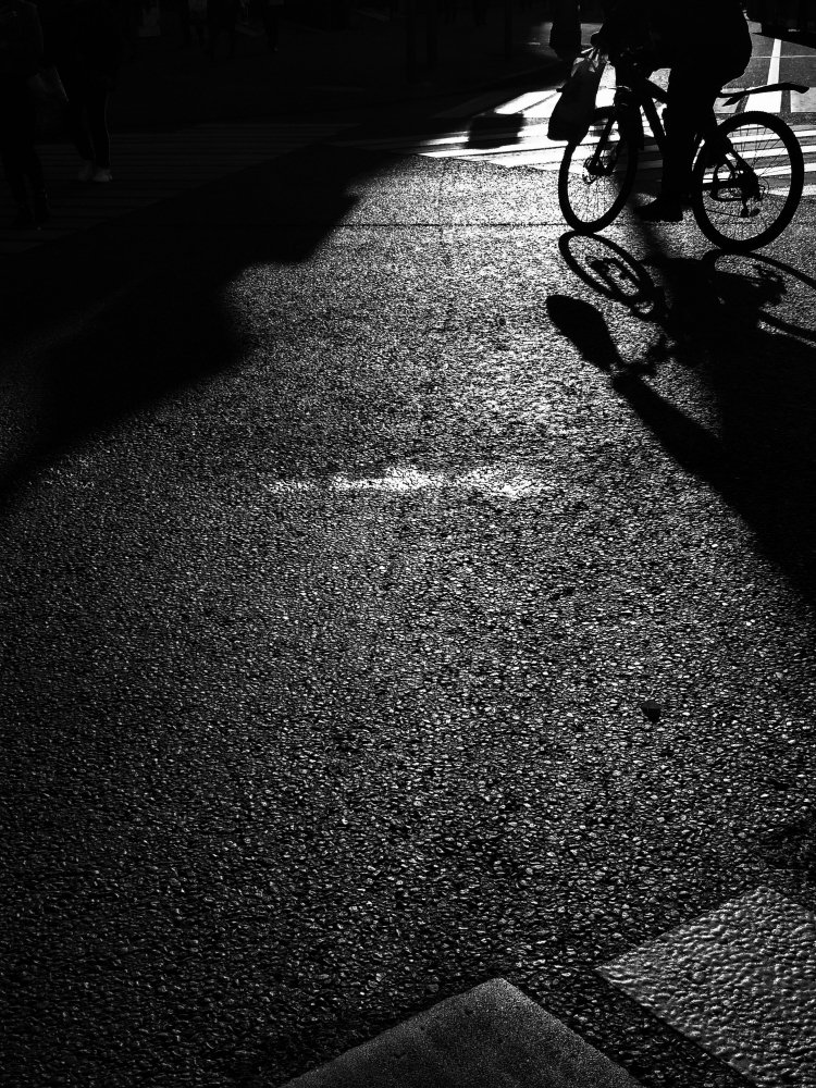 Photo #5307145
