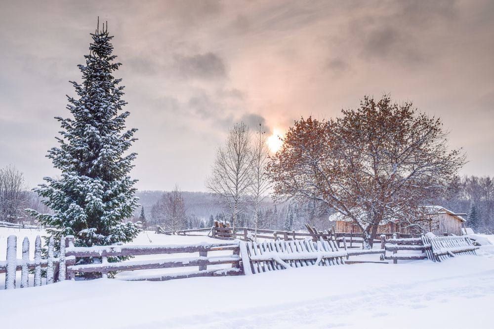 Photograph by Дмитрий Синичев