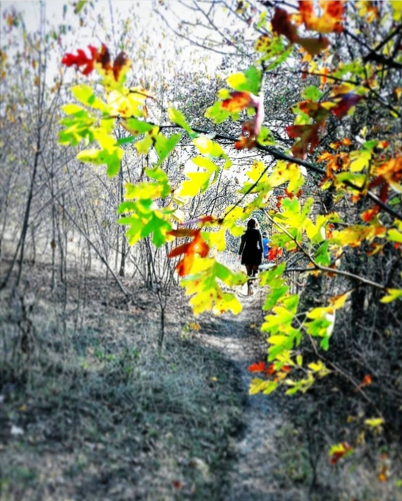 Photograph by Элина Лысенко