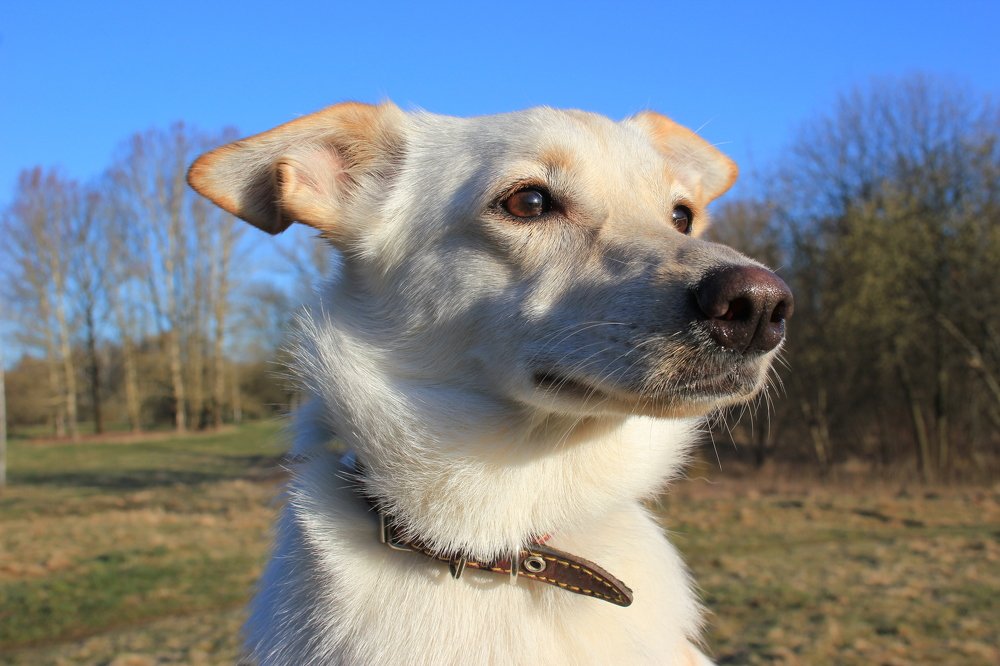 Photograph by Юлия