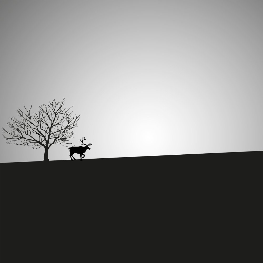 Photograph by Shubhendu Mazumder